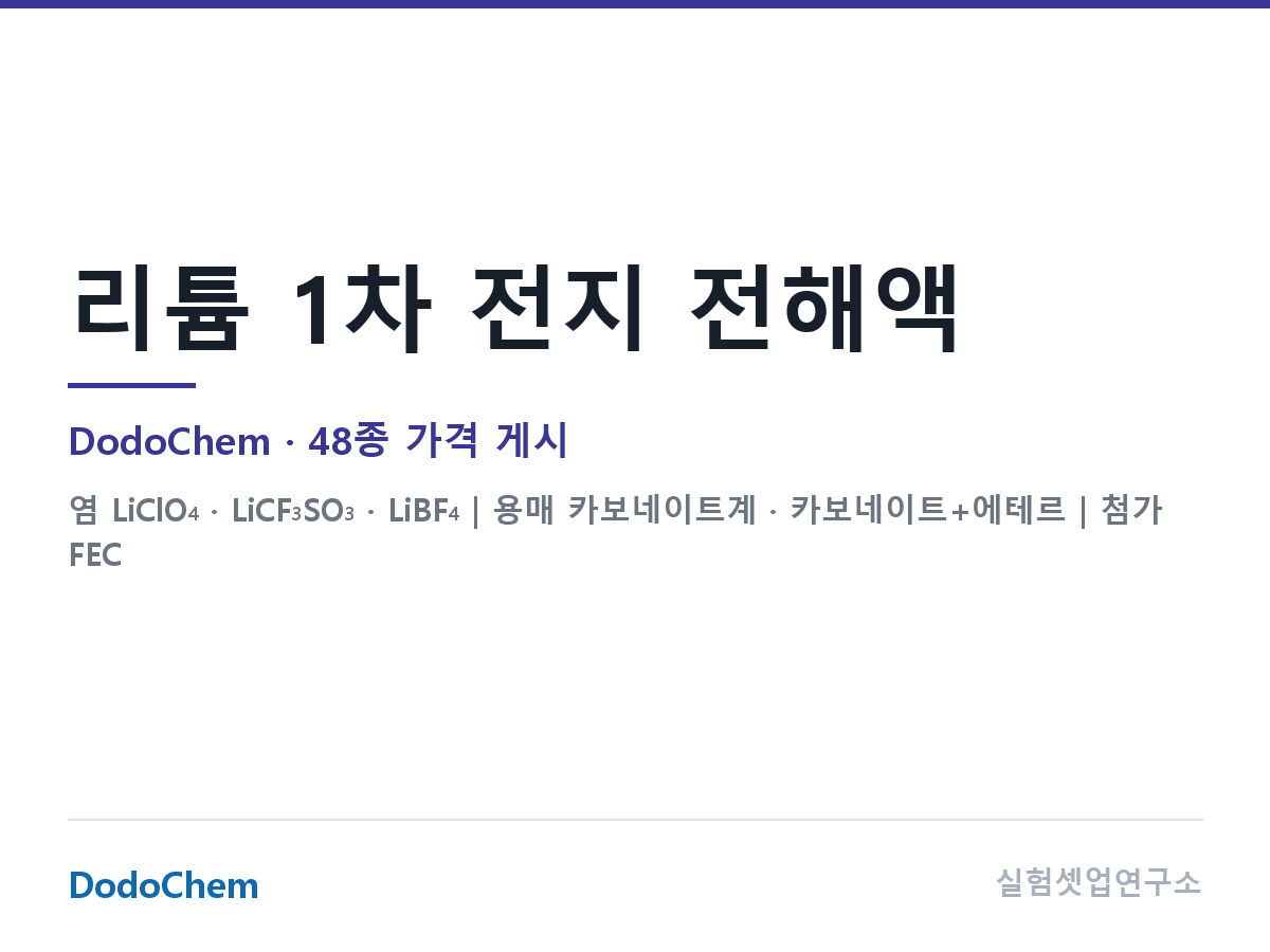 리튬 1차 전해액