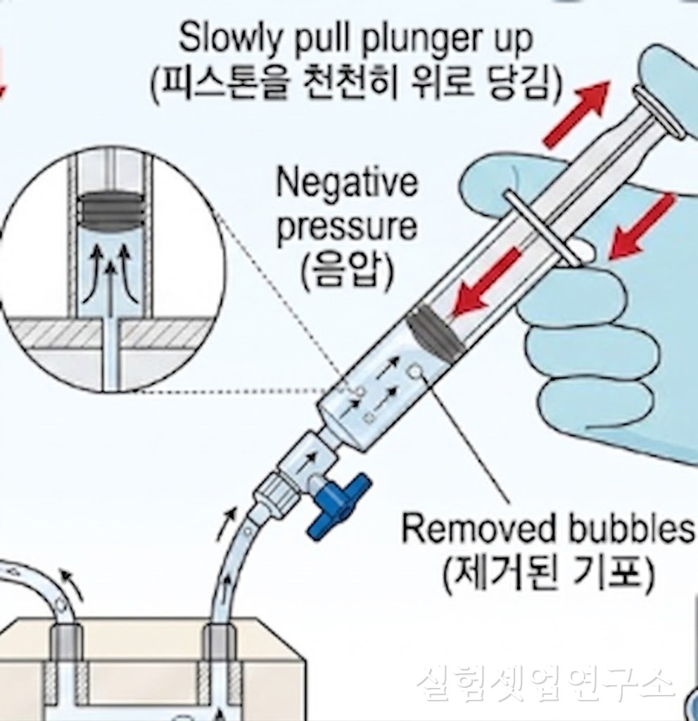 주사기 음압으로 in-situ 관찰 셀 잔류 기포를 제거하는 방법 — 주액 포트에 주사기를 꽂고 피스톤을 천천히 위로 당기면 음압이 걸려 셀 안 기포가 주사기 쪽으로 빠져나온다